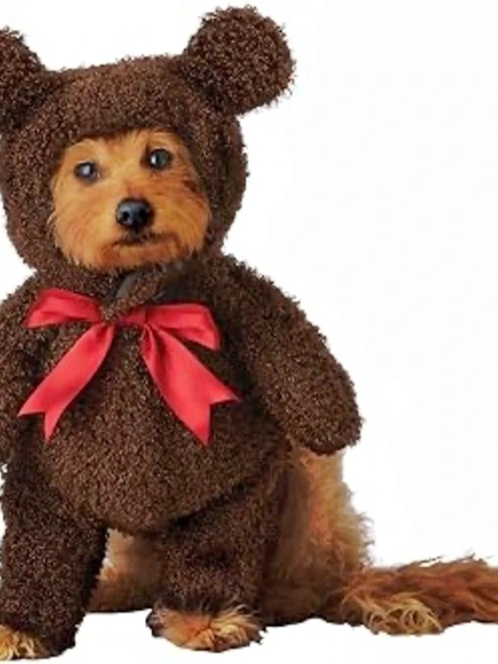 Dog teddy bear costume size M